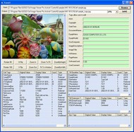 GOGO Exif Image Viewer Pro ActiveX OCX (Twice Developer) screenshot